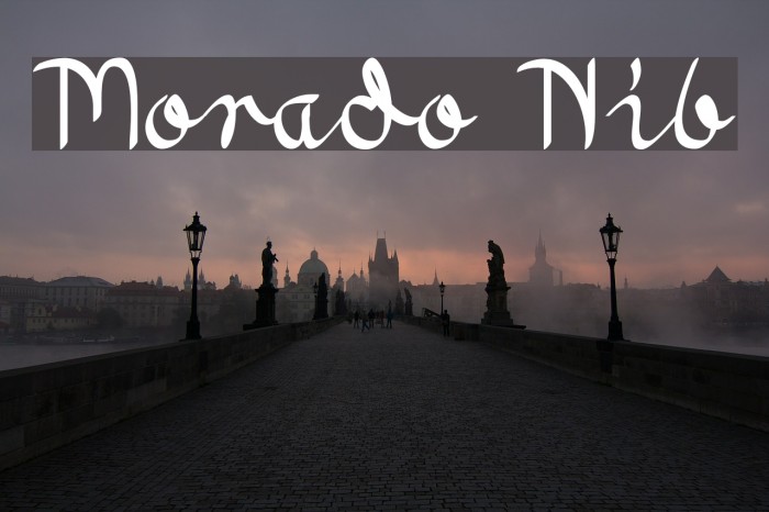 Morado Nib Font examples