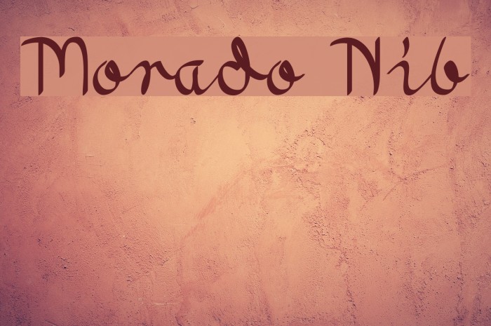 Morado Nib Font examples