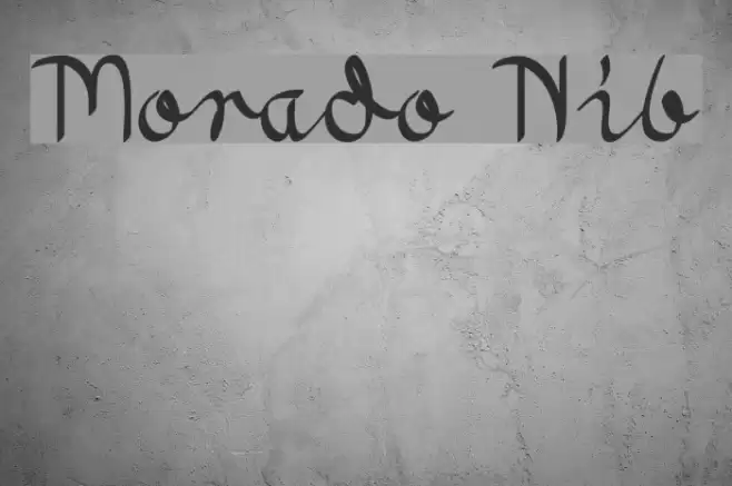 Morado Nib Font examples