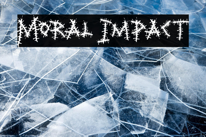 Moral Impact Example 2