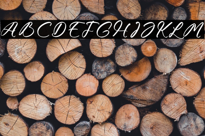 Moraless Chestera Example 3