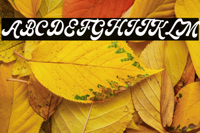 Moraline Script DEMO-Regular Example 1