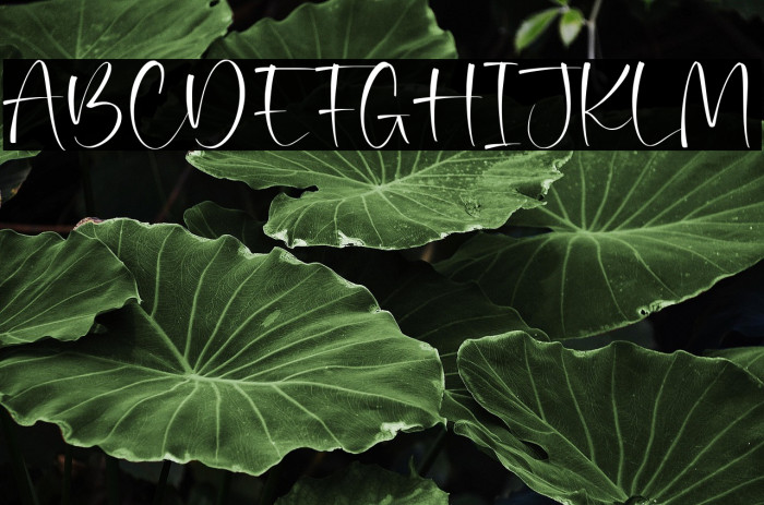 Moralist Jameson Example 2