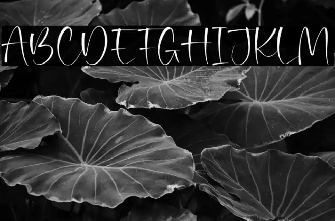 Moralist Jameson Schriftart examples