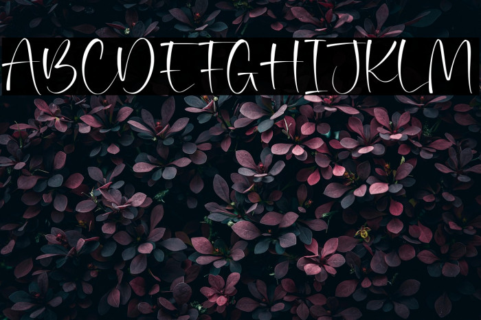 Moralist Jameson Example 3