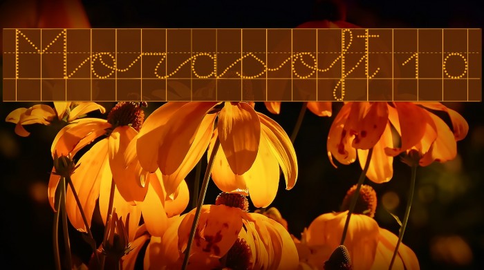 Morasoft10 Font examples