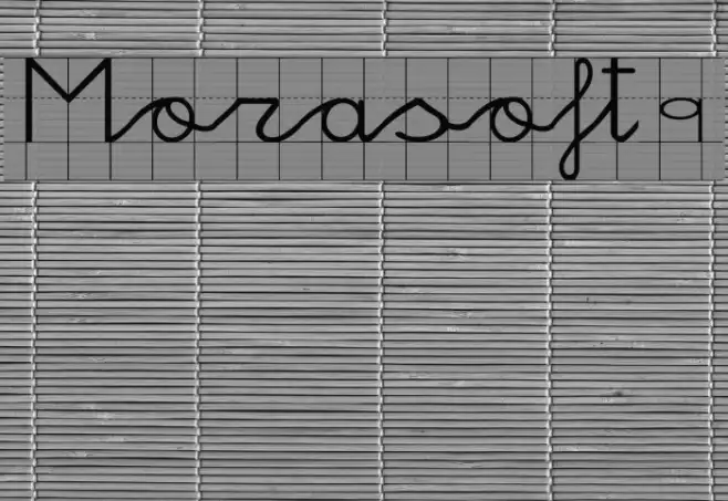 Morasoft9 Example 2