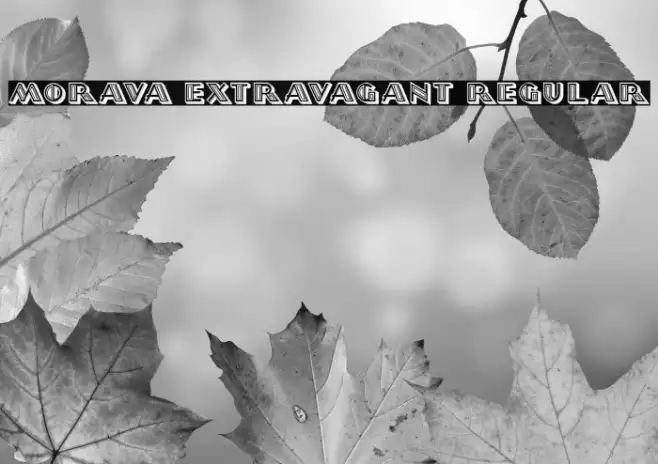Morava Extravagant Regular Example 1