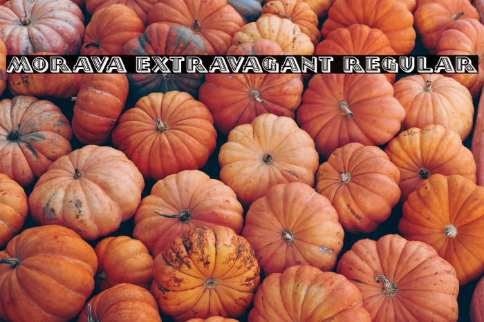 Morava Extravagant Regular Example 2