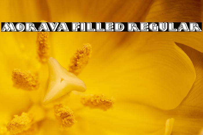 Morava Filled Regular Example 1