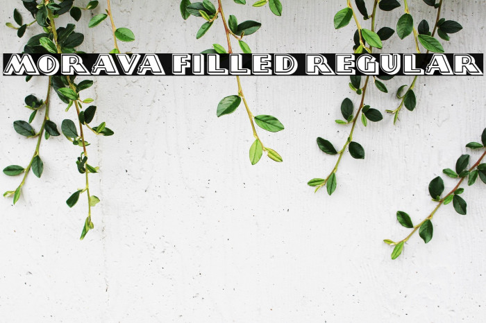 Morava Filled Regular Example 2