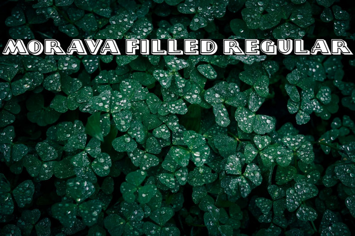 Morava Filled Regular Example 3