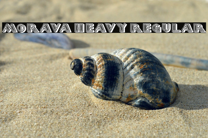 Morava Heavy Regular Example 1