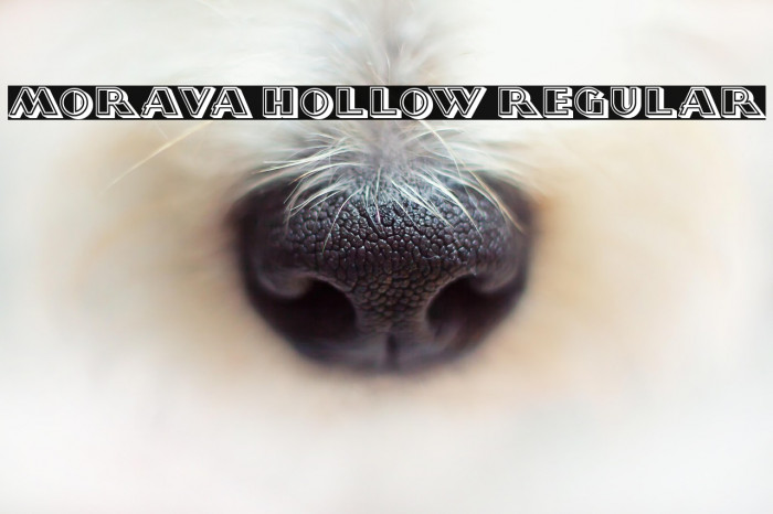 Morava Hollow Regular Example 1