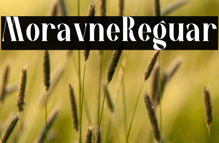 Moravine Regular Example 3