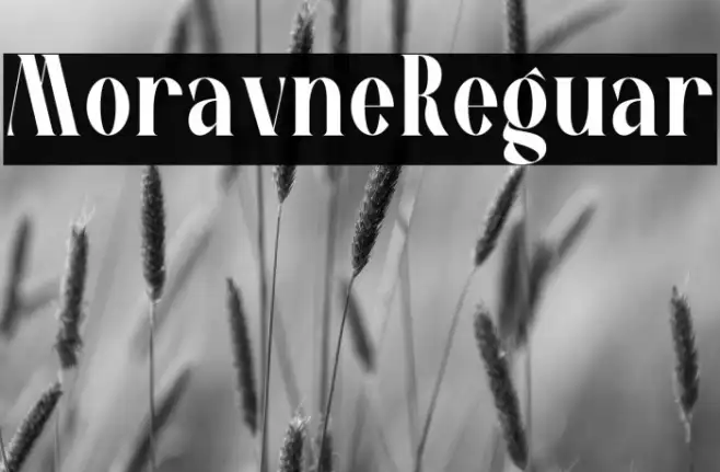 Moravine Regular Example 3