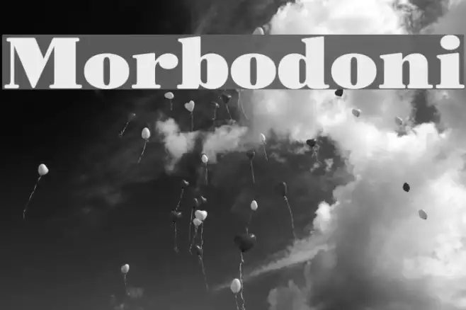 Morbodoni Example 1