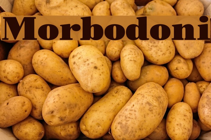 Morbodoni Font examples