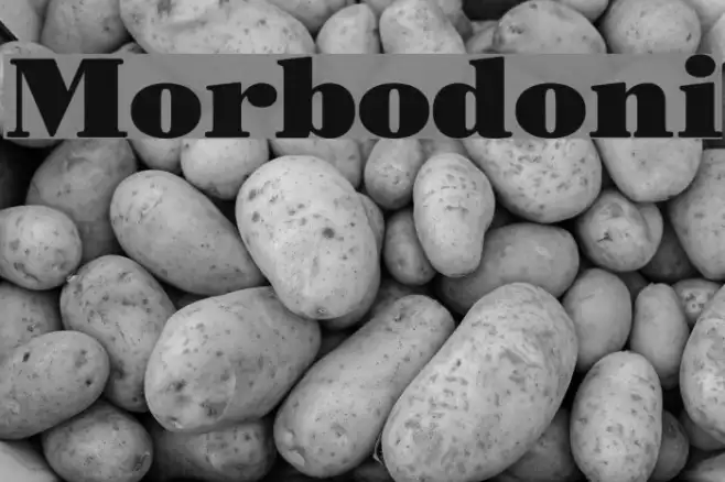 Morbodoni Example 3