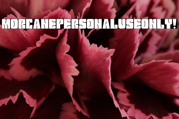 Morcane PERSONAL USE ONLY! Example 2