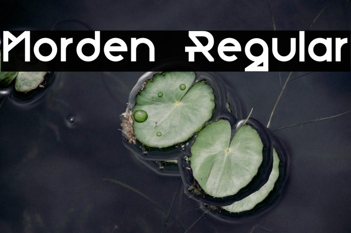 Morden-Regular Example 1