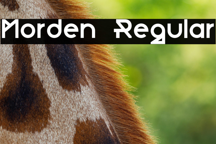 Morden-Regular Example 2