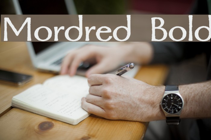 Mordred Bold Example 2