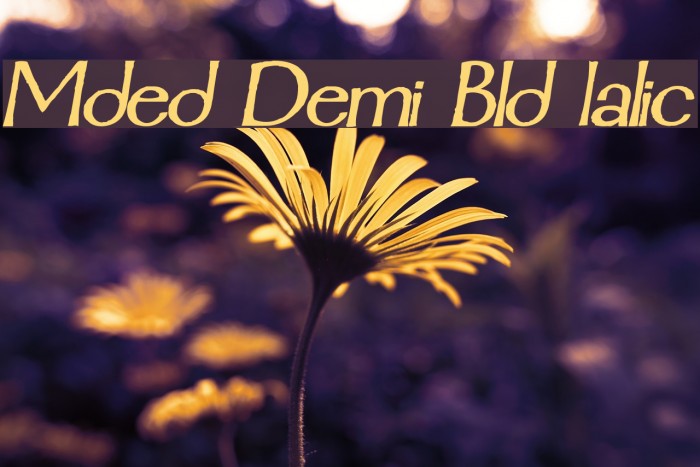 Mordred Demi Bold Italic Font examples