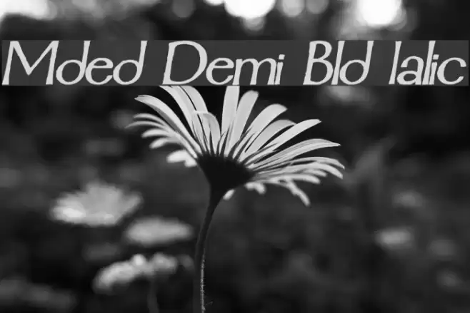 Mordred Demi Bold Italic Caratteri examples