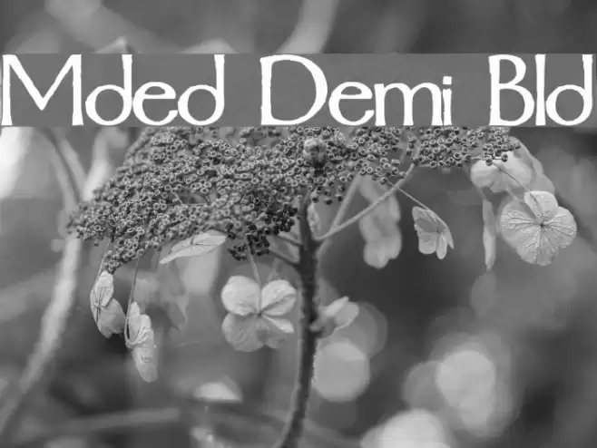 Mordred Demi Bold Font examples