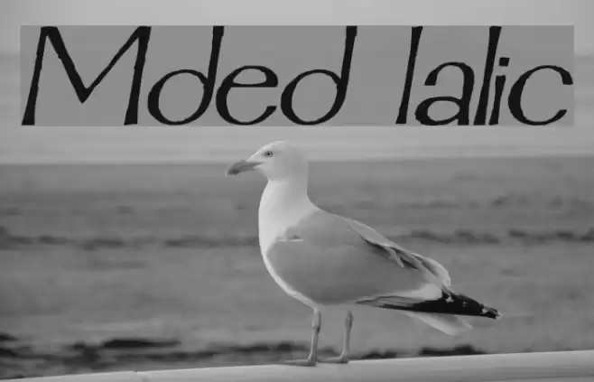 Mordred Italic Font examples