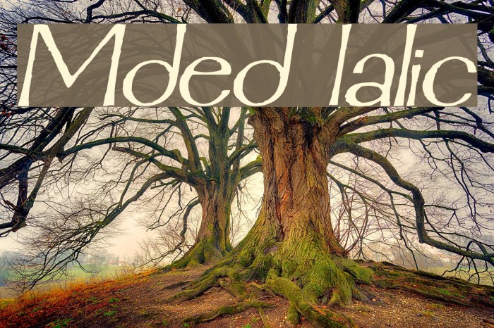Mordred Italic Font examples