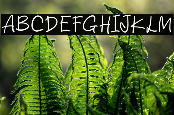 More Ideas Example 1