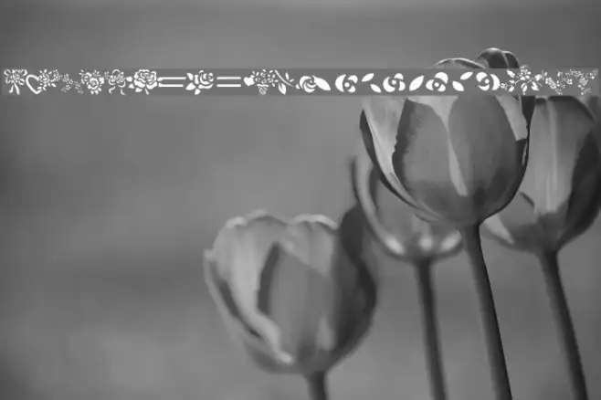 More Roses! Example 2