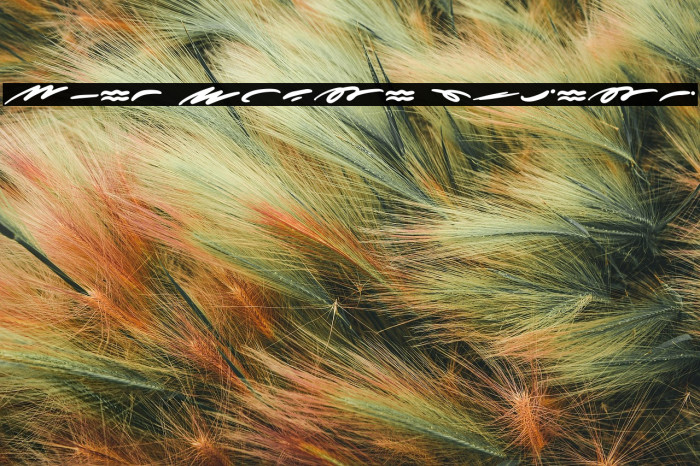 More Sugar Extras フォント examples