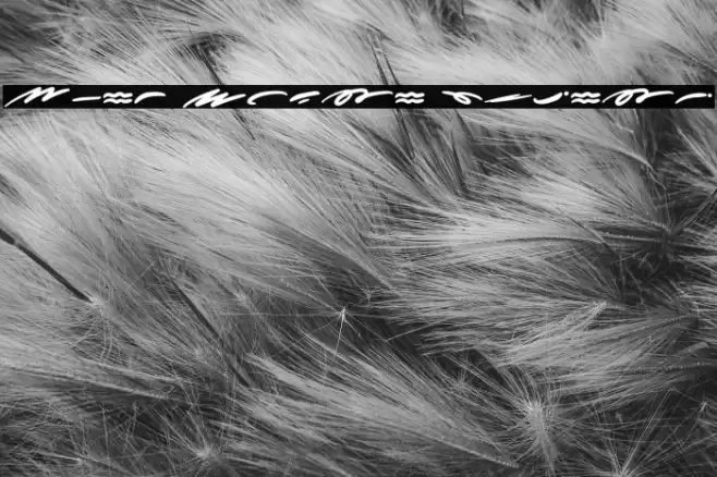 More Sugar Extras Font examples