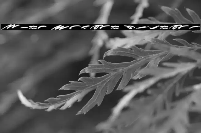 More Sugar Extras Font examples