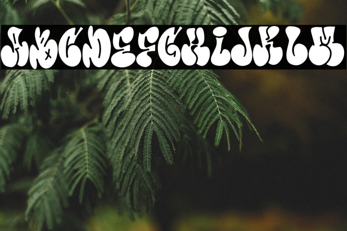 More Than Life Example 1