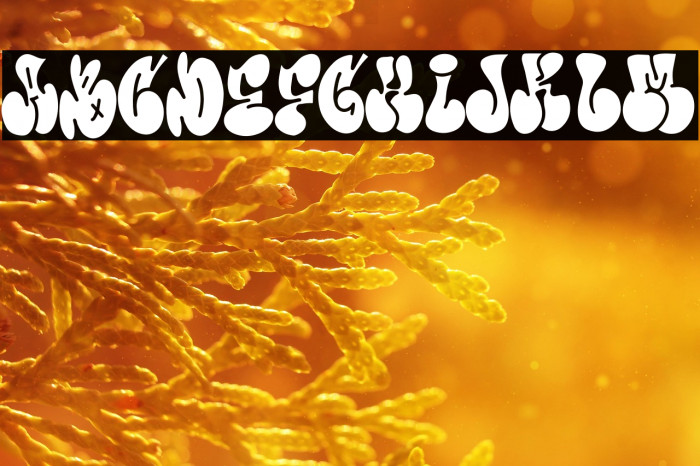 More Than Life Example 2