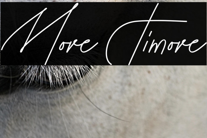 More Timore फ़ॉन्ट examples