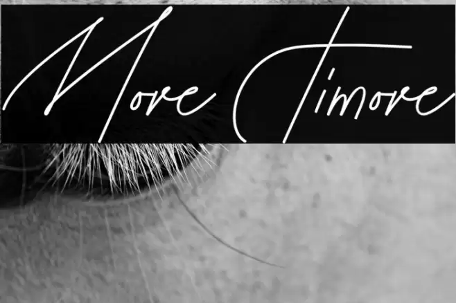 More Timore Font examples