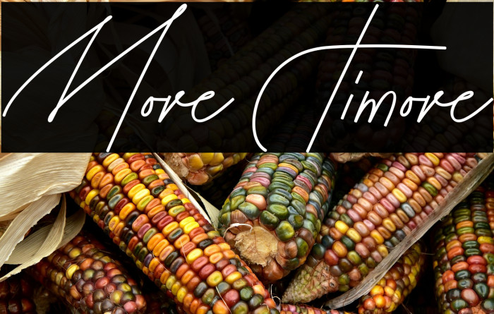 More Timore फ़ॉन्ट examples