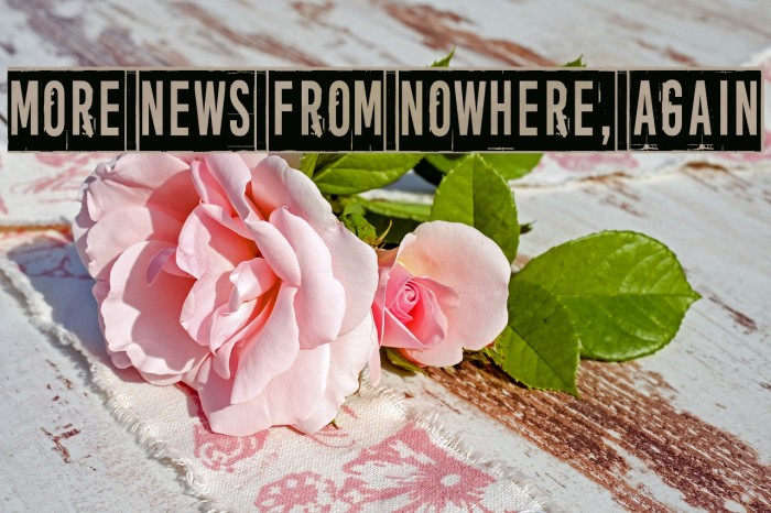 More news from nowhere, again Font examples