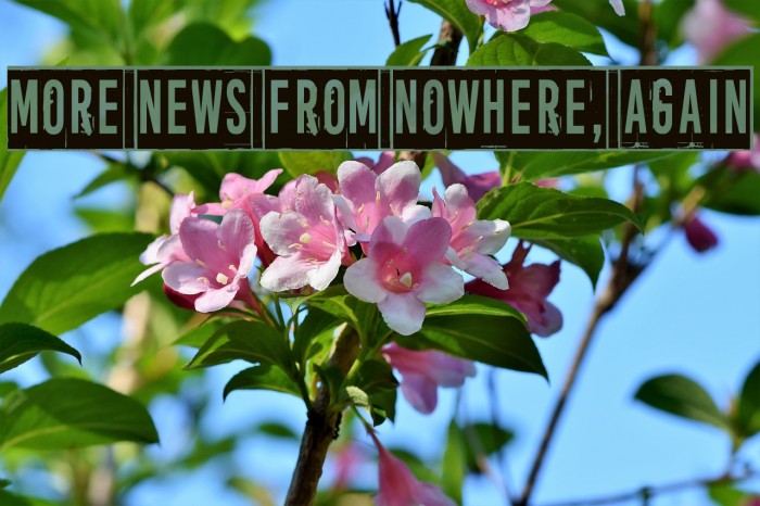 More news from nowhere, again Font examples