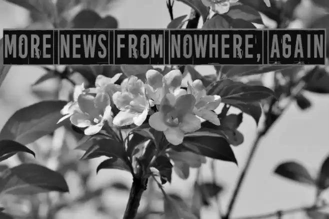 More news from nowhere, again Fuentes examples