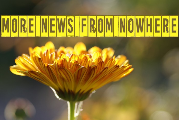 More news from nowhere Font examples