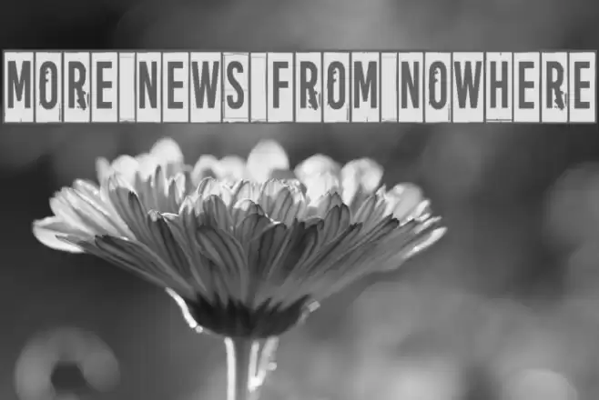 More news from nowhere Font examples