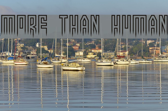 More than human フォント examples