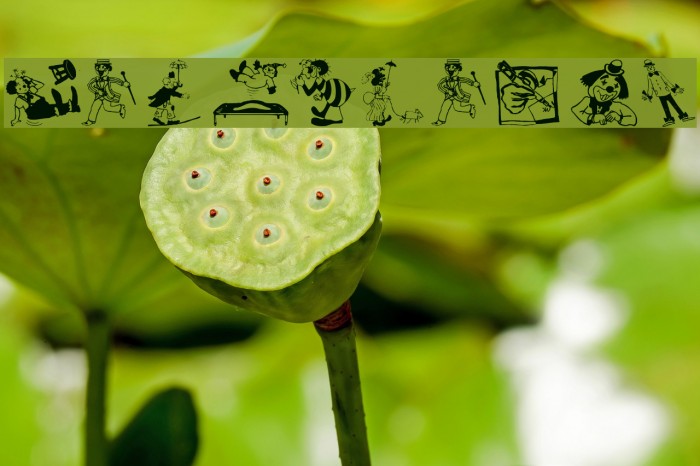 MoreClowns Example 1