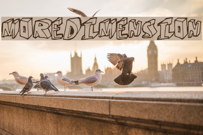 MoreDimension Example 1